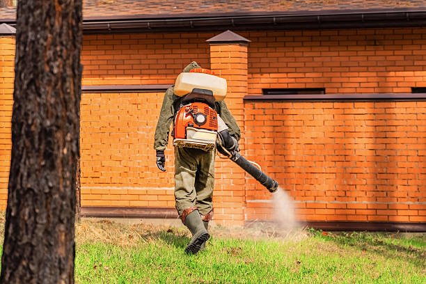 Bed Bug Clearance Verification and Documentation in Santa Venetia